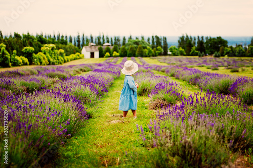 Child in a lavender field. Happy child in nature.