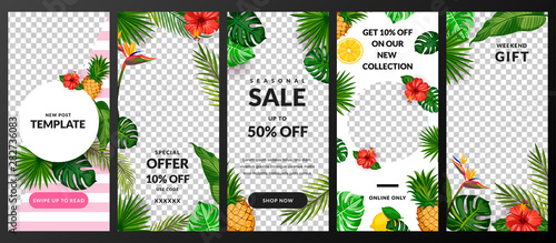 Stories, news or post vector template for social network. Story tropical background. Trendy summer design