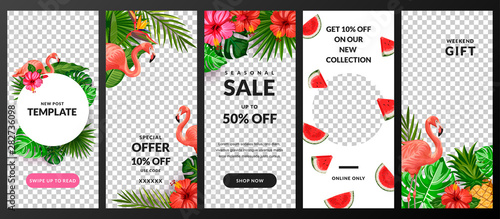 Stories, news or new post vector template for social network. Story background with tropical palm leaves and flamingo.