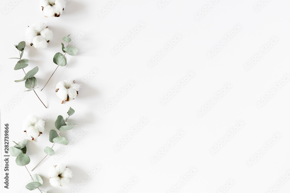 Flowers creative composition. Cotton flowers, eucalyptus branches and leaves on white background. Flat lay, top view, copy space - obrazy, fototapety, plakaty 