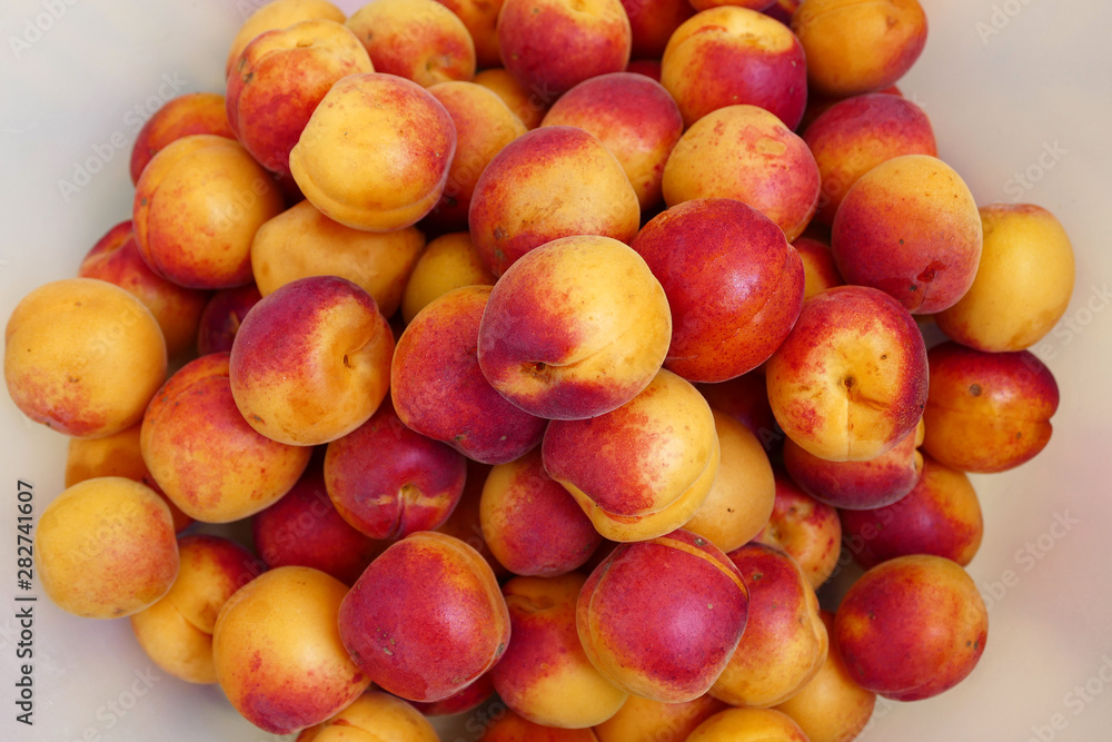 fried fresh apricots, dark pink color fried fresh apricots, dark pink color