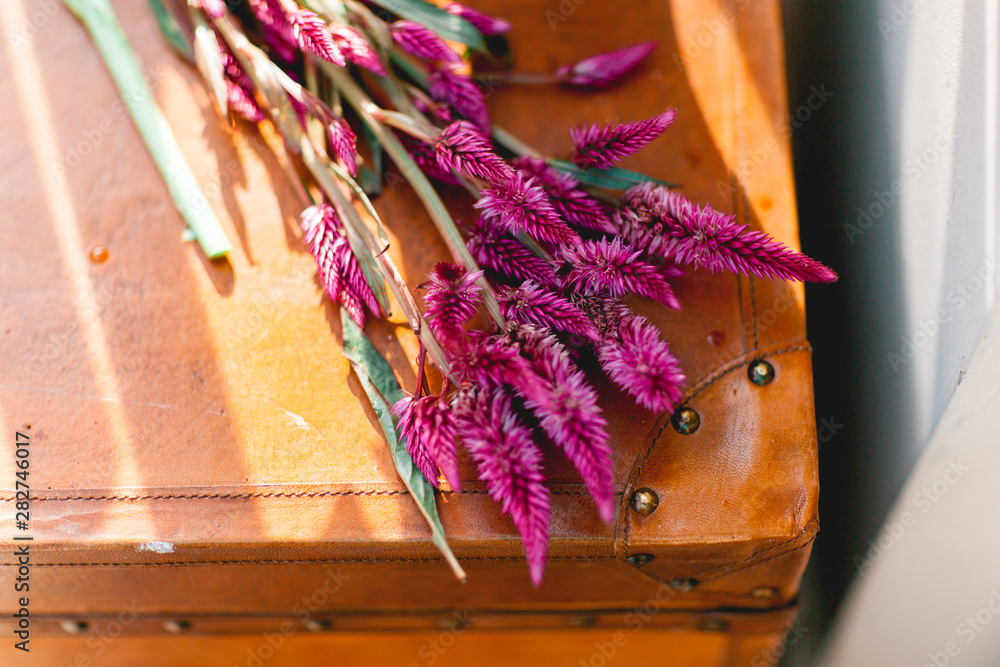Obraz premium Bright purple flowers, a bouquet lying on a suitcase in a spot of light.