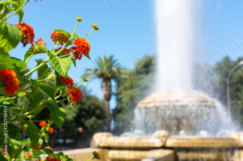 Close Up of Orange Flowers on Blur Fountain in Ebalia Square, in the City of Taranto