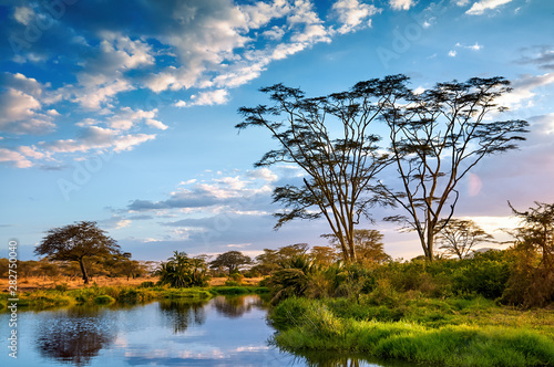 Beautiful African landscape, in Tanzania. photo
