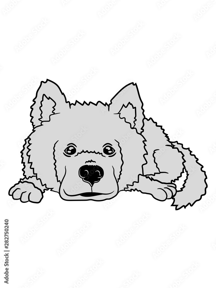 süßer niedlicher hund liegend haustier husky weiß fell herrchen frauchen familie lieber freund clipart comic design cool Stock-illustration | Adobe Stock