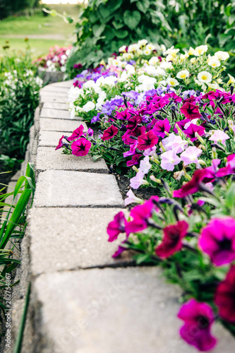 Fototapeta Naklejka Na Ścianę i Meble -  home house curb appeal Flower beds garden Blooming in the Spring Summer at a home 