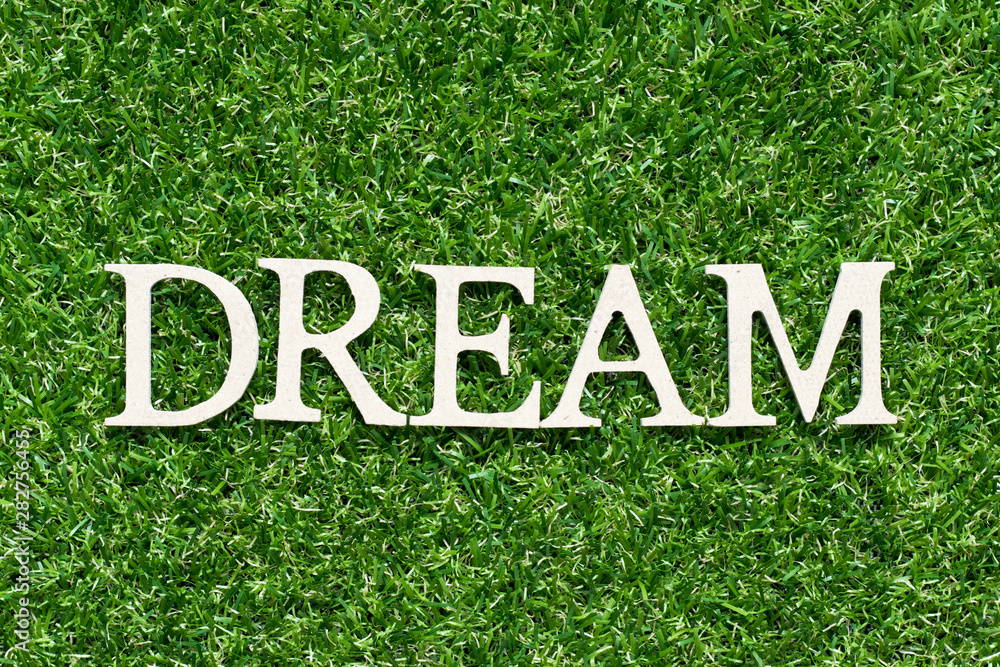Wood alphabet letter in word dream on artificial green grass background