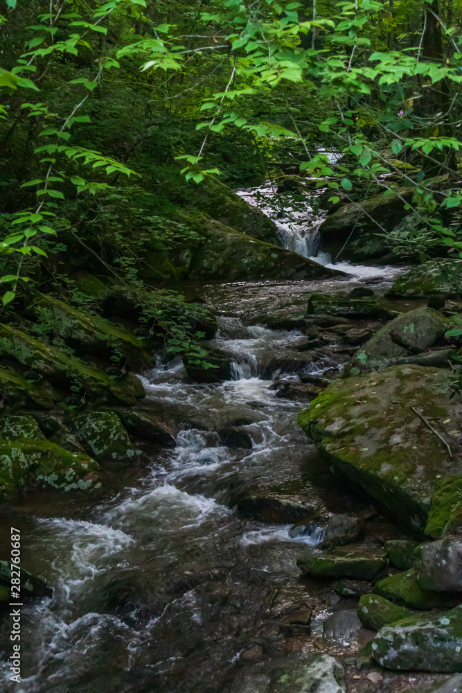 Mountain stream and small waterfall 