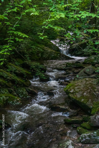Mountain stream and small waterfall 