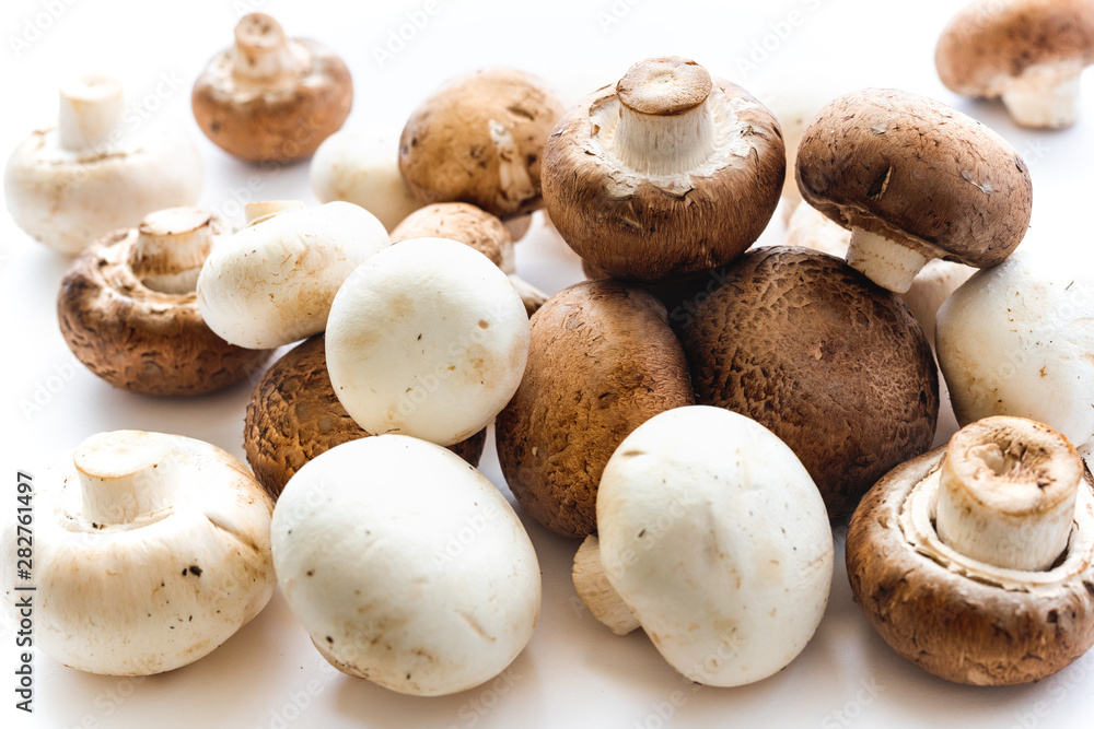 Mushrooms on White Background. Fresh Organic White and Crimini Mushrooms Close Up on White Background.