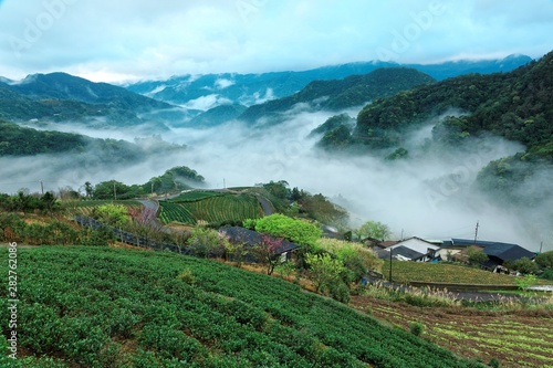 Early morning scenery of tea gardens in fresh spring atmosphere with ethereal fog in the valley & silhouette of rolling hills in Pinglin, a rural town famous for tea plantation near Taipei Taiwan photo