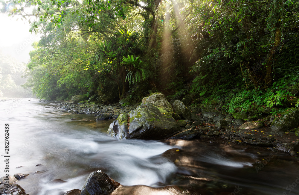 Scenic view of a lovely cascade flowing into a stream in a mysterious forest with bright sunlight shining through lush greenery ~ Beautiful river scenery of Taiwan in springtime Scenic view of a lovely cascade flowing into a stream in a mysterious forest with bright sunlight shining through lush greenery ~ Beautiful river scenery of Taiwan in springtime