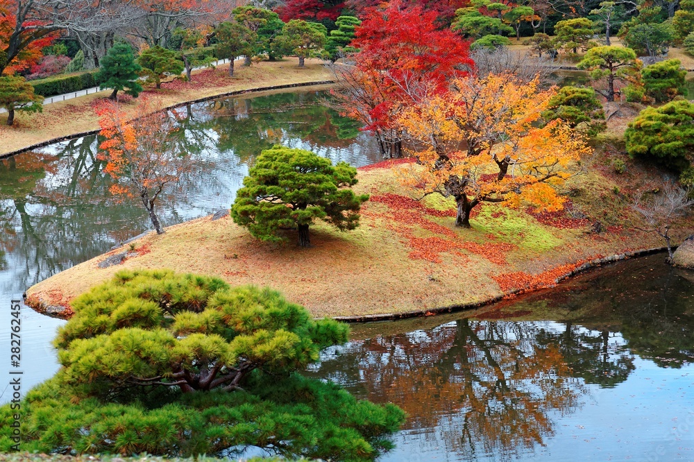 Naklejka premium Autumn scenery of a beautiful, free entry and public traditional Japanese garden in Kyoto, Japan, with an aerial view of colorful maple trees by the lake and reflections on the peaceful water