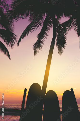 Many surfboards beside coconut trees at summer beach with sun light and blue sky background.