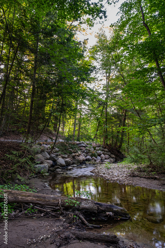 Sunset at the beach and woods in Barrie Ontario Canada with lake view  river  trees  stone formation  and light