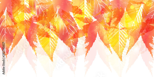 紅葉　もみじ　葉　背景 