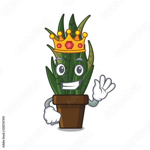 King cartoon snake plant grows behind house