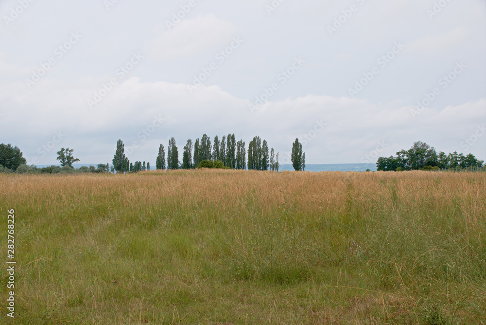 Φωτογραφία Landscape shot in the national park Neusiedler See in Illmitz Burgenland