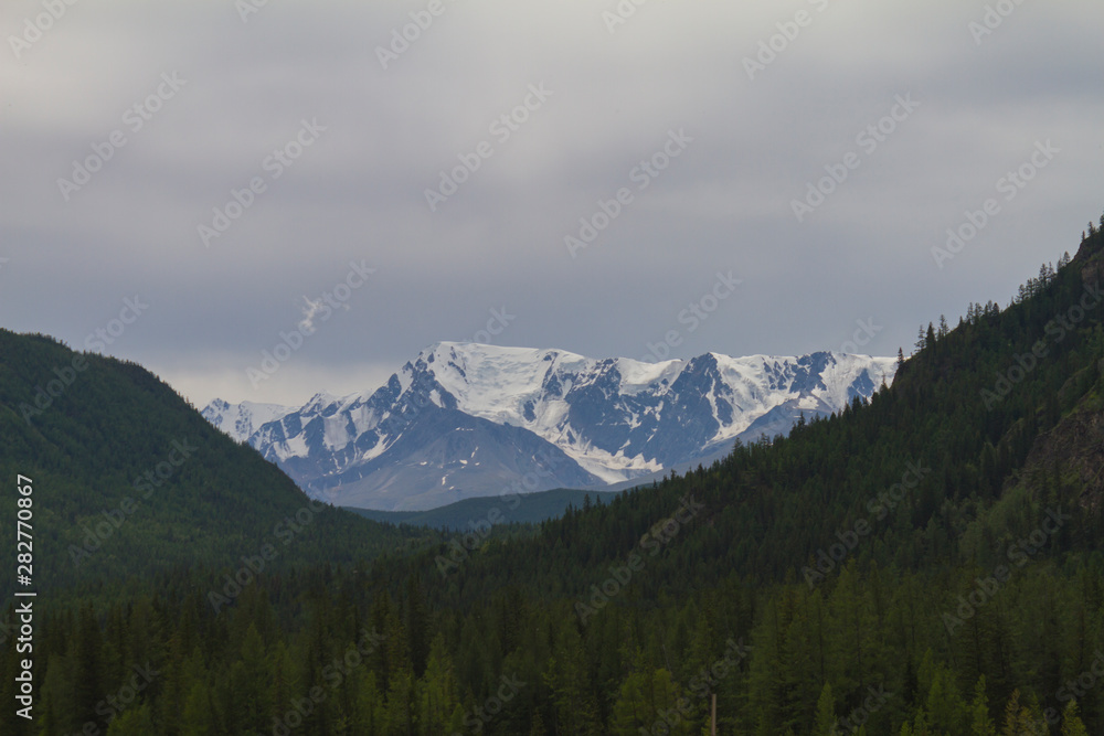 Snow top in Altai mountains. Bottom view. Close up. Summer travel concept.