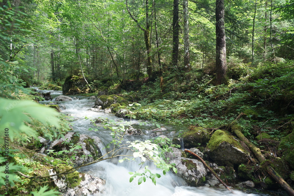 Fototapeta premium fluss