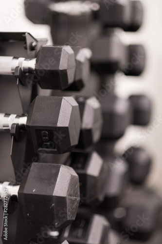 Dumbbell weights on gym