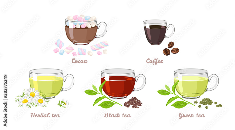 Set of hot drinks in glass cups isolated on white background. Vector illustration of cocoa with marshmallows, coffee, black and green tea, herbal chamomile tea in cartoon simple flat style. Set of hot drinks in glass cups isolated on white background. Vector illustration of cocoa with marshmallows, coffee, black and green tea, herbal chamomile tea in cartoon simple flat style.