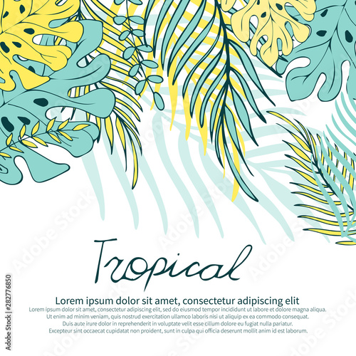 Botanical illustration. Vector floral background