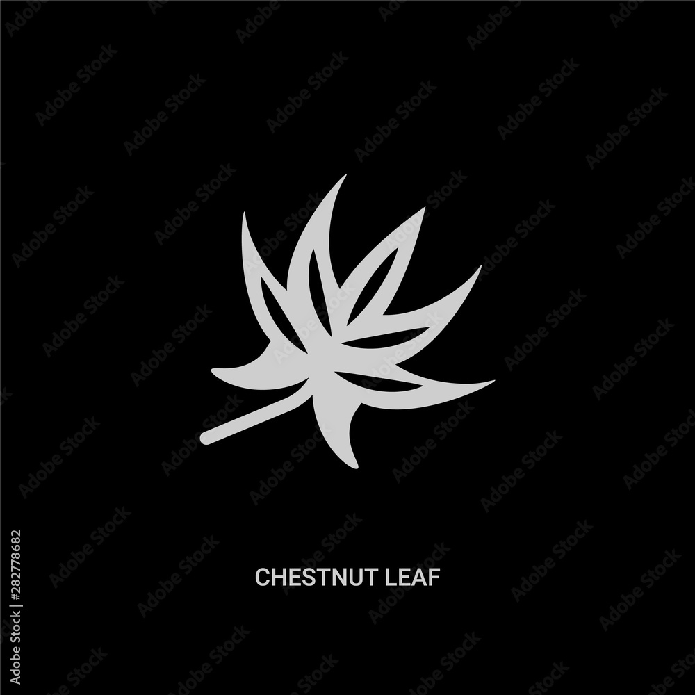 white chestnut leaf vector icon on black background. modern flat chestnut leaf from nature concept vector sign symbol can be use for web, mobile and logo. white chestnut leaf vector icon on black background. modern flat chestnut leaf from nature concept vector sign symbol can be use for web, mobile and logo.