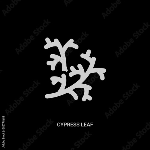 white cypress leaf vector icon on black background. modern flat cypress leaf from nature concept vector sign symbol can be use for web, mobile and logo.