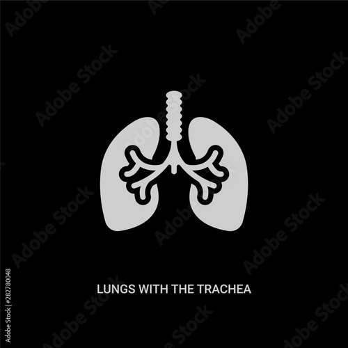 white lungs with the trachea vector icon on black background. modern flat lungs with the trachea from human body parts concept vector sign symbol can be use for web, mobile and logo.