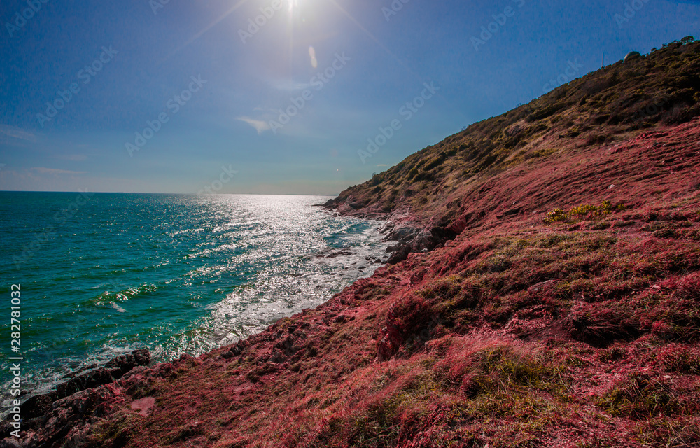 The natural background of the wooden bridge admiring the seaside scenery, facilitating walking, blurred breezes, natural beauty The natural background of the wooden bridge admiring the seaside scenery, facilitating walking, blurred breezes, natural beauty