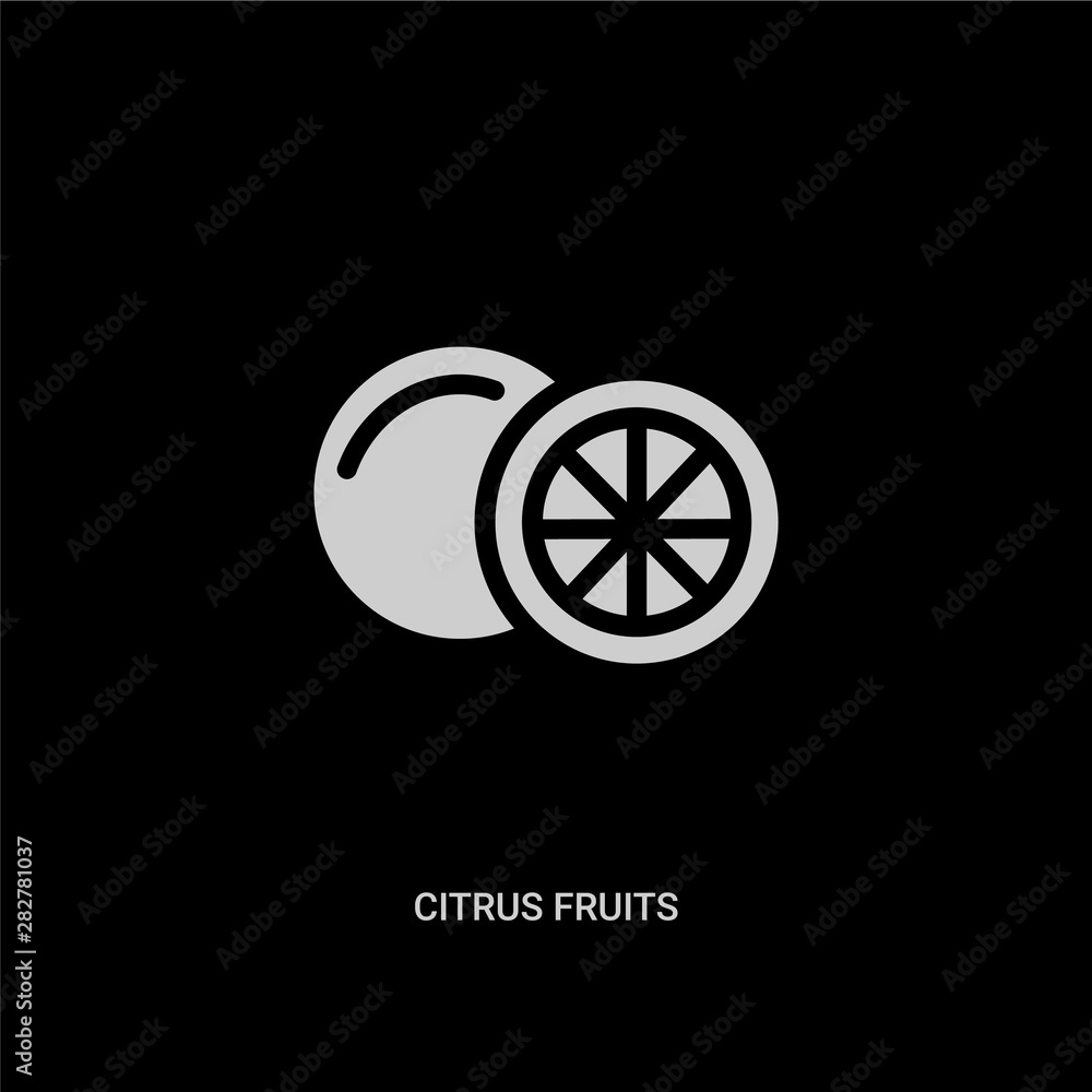 white citrus fruits vector icon on black background. modern flat citrus fruits from food concept vector sign symbol can be use for web, mobile and logo.