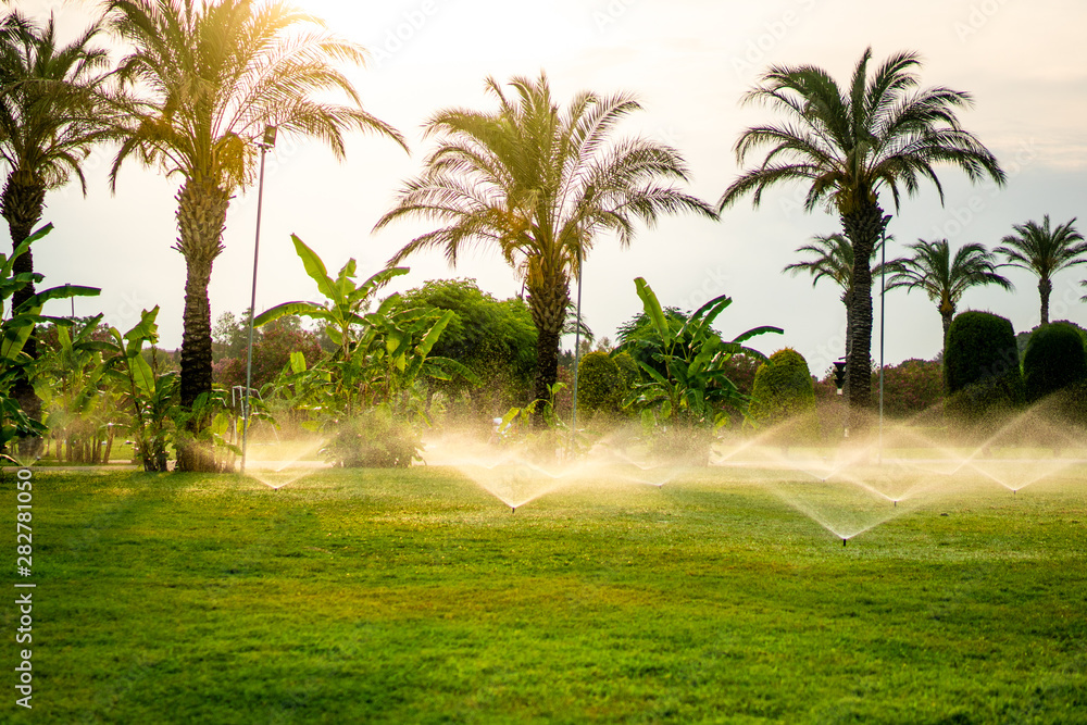 Palm tree sprinkler sales