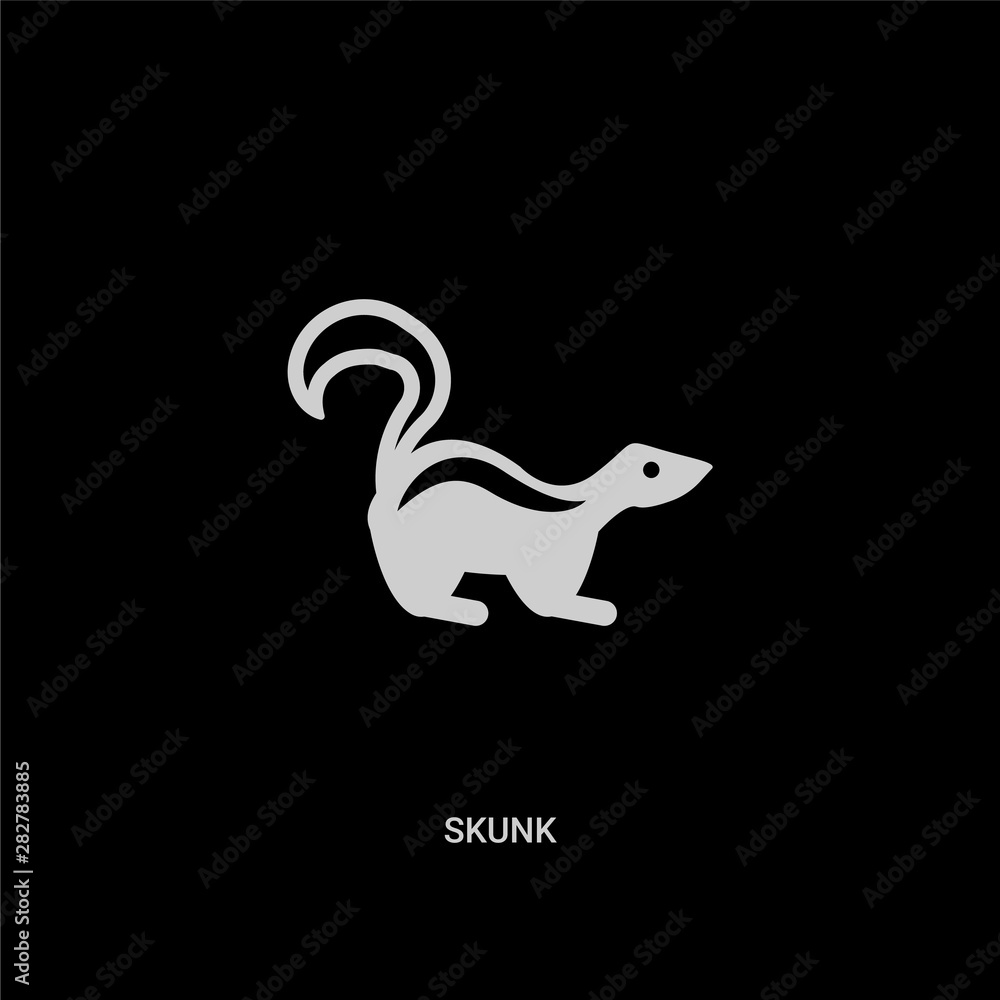 white skunk vector icon on black background. modern flat skunk from animals concept vector sign symbol can be use for web, mobile and logo.
