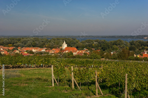 South Moravian /Dolni Vestonice/ landscape view with wine yards and St. Michael church in the background photo