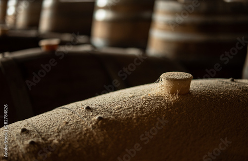 old barrels of wine in a cellar