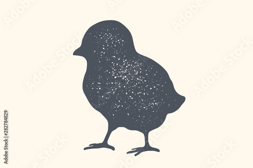 Chick, poultry. Vintage logo, retro print, poster for Butchery