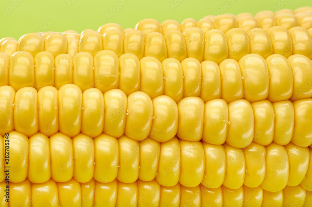 young fresh juicy large ears of corn young fresh juicy large ears of corn