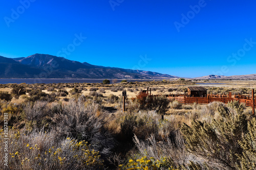 Tumbleweeds in Washoe Lake Nevada