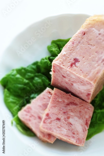 luncheon meat on lettuce with copy space