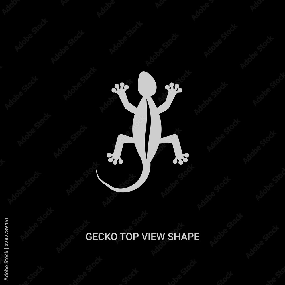 white gecko top view shape vector icon on black background. modern flat gecko top view shape from culture concept vector sign symbol can be use for web, mobile and logo. white gecko top view shape vector icon on black background. modern flat gecko top view shape from culture concept vector sign symbol can be use for web, mobile and logo.