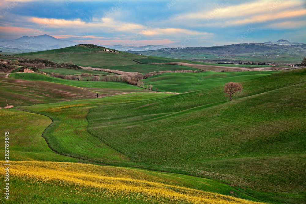 Pienza, Siena, Tuscany, Italy: spring landscape of the Val d'Orcia countryside
