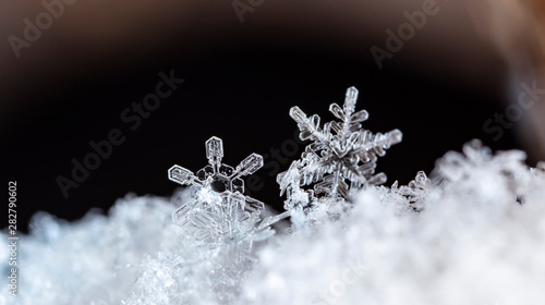 winter photo of snowflakes in the snow