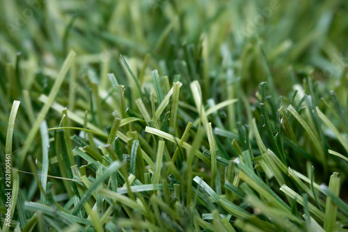 False green grass made of plastic