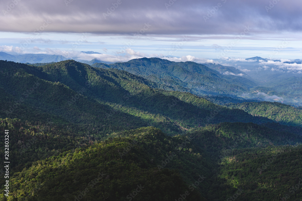 Mountain forest in the morning, Phu Soi Dao, Uttaradit Province, Thailand. Mountain forest in the morning, Phu Soi Dao, Uttaradit Province, Thailand.