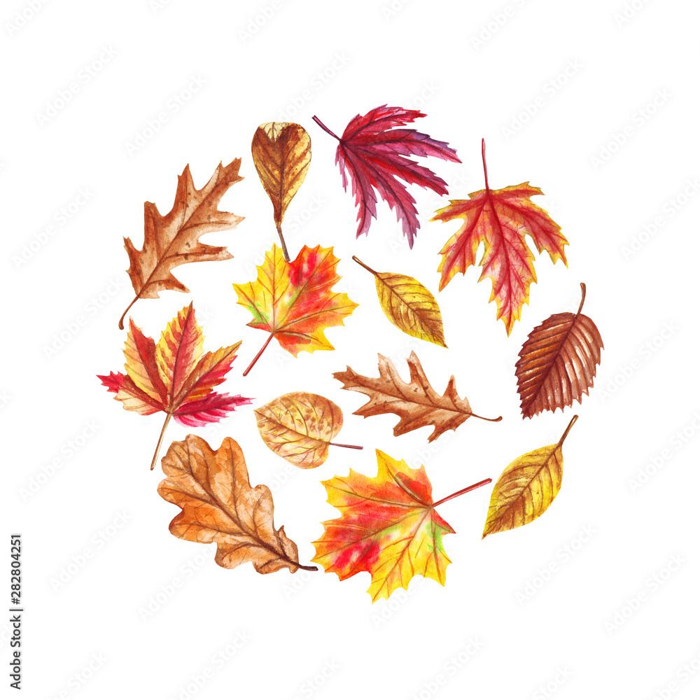 Watercolor card with autumn leaves and branches isolated on white. Arrangement for wedding invitations, invite and decorations