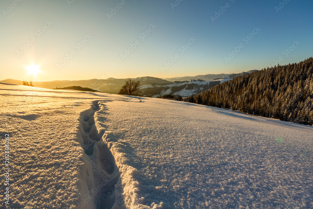 Beautiful winter Christmas landscape. Human footprint track path in crystal white deep snow through empty field, woody dark hills on horizon at sunrise on clear blue sky copy space background.