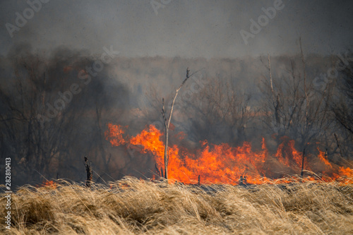 Fire in forest burning orange and red with heavy black smoke