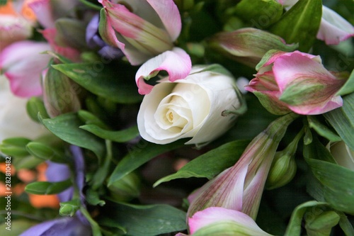 bouquet of white and pink roses