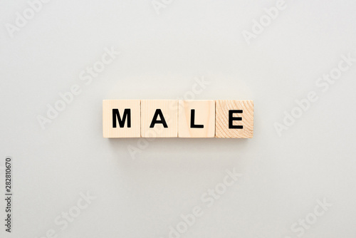 top view of wooden blocks with Male lettering on grey background